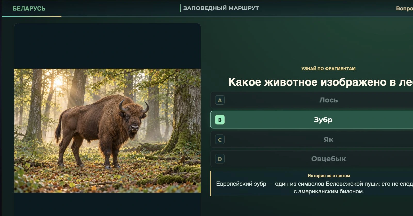 Реальный экран квиза Беларусь в PULTEVENT: изображение и четыре варианта